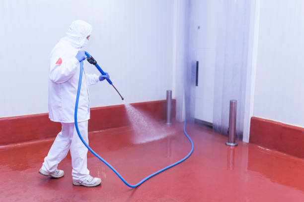 Best Spring Cleaning  in West Sharyland, TX