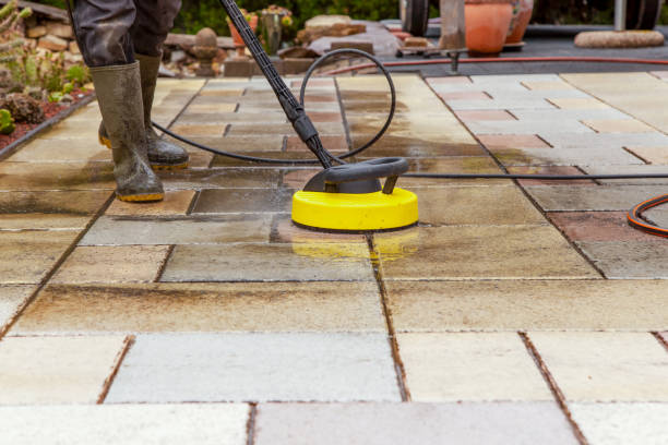 Best Driveway Pressure Washing  in West Sharyland, TX